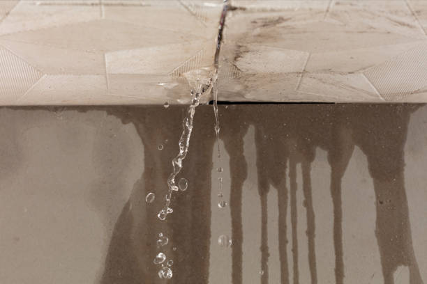 Professional Sewage Cleanup technician working in Orleans, IN
